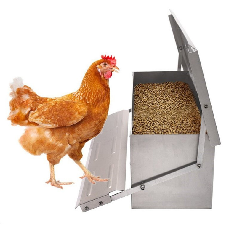 Galvanized Chicken Feeder for Poultry Farming Metal Automatic Poultry ...