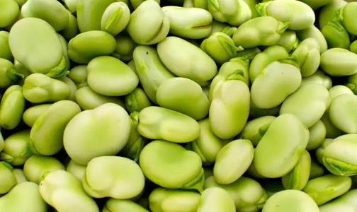 Frozen Organic Green Broad Beans (1).jpg