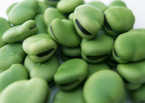 Frozen Organic Green Broad Beans (3).jpg