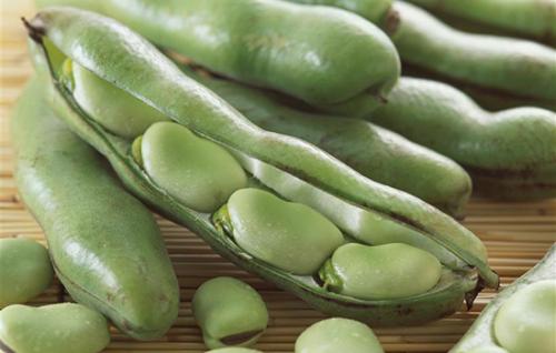 Frozen Organic Green Broad Beans (4).jpg