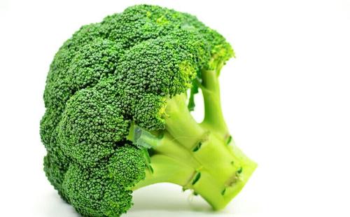 Organic Frozen Broccoli Suppliers-Iqf  Broccoli