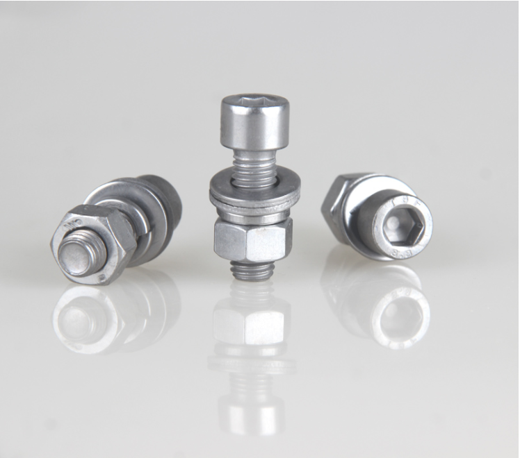 SS screws with washers 1.png
