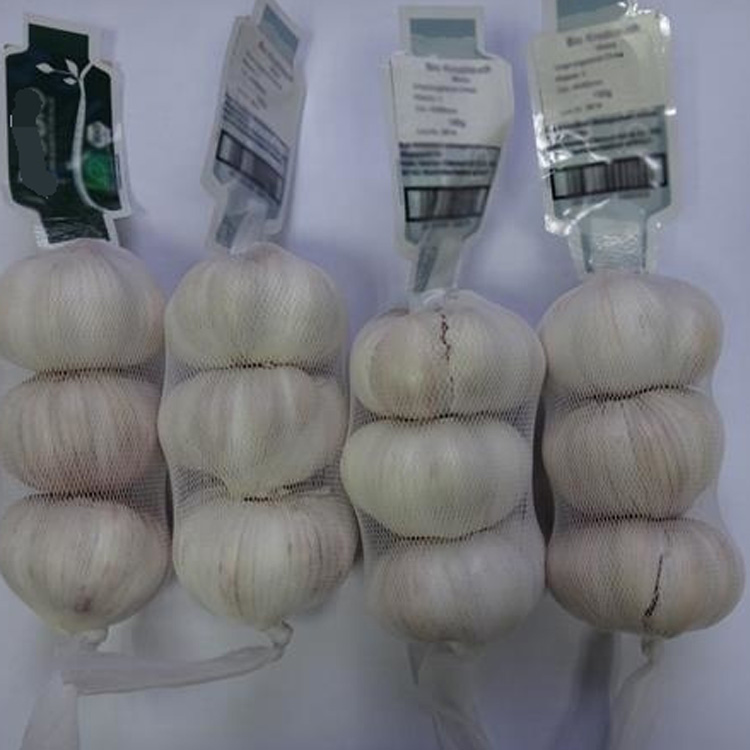 fresh garlic.jpg