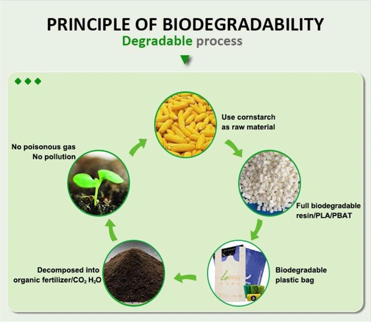 biodegradable shopping bags (3).jpg