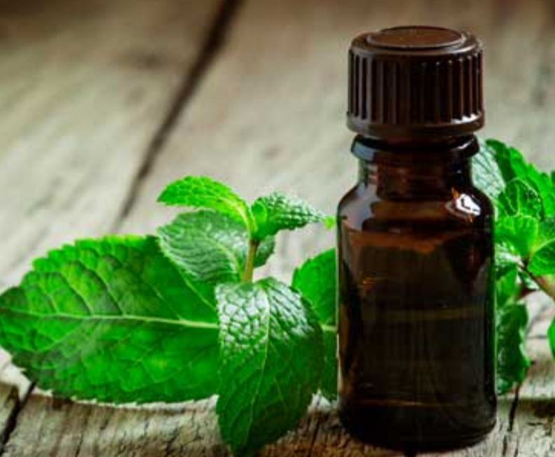 Peppermint Oil