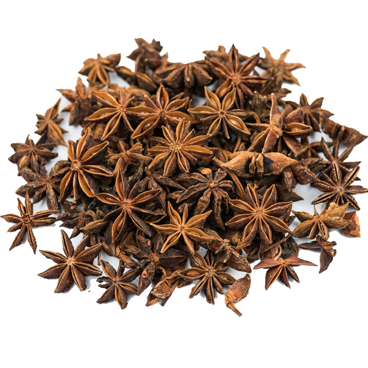 anise star-1.jpg