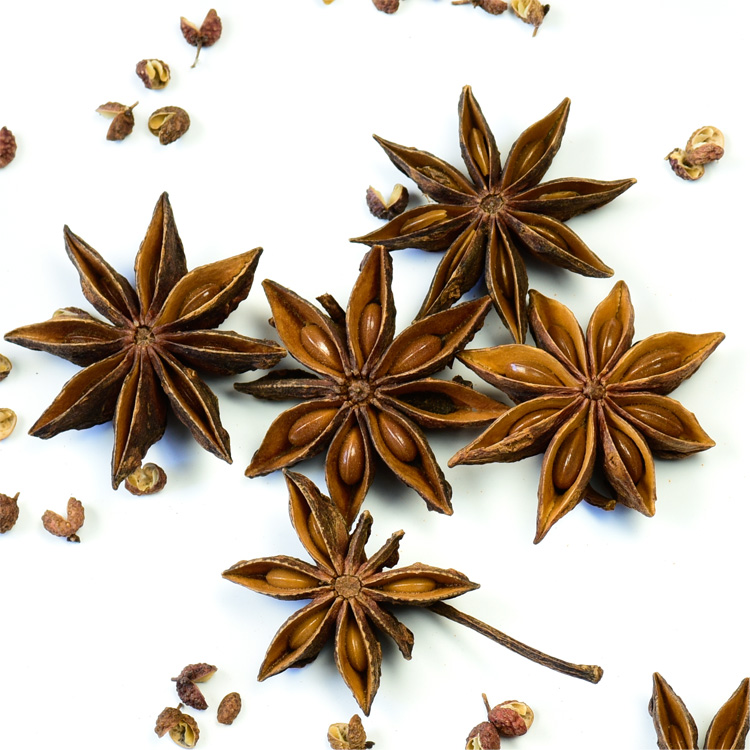 star anise-1.jpg