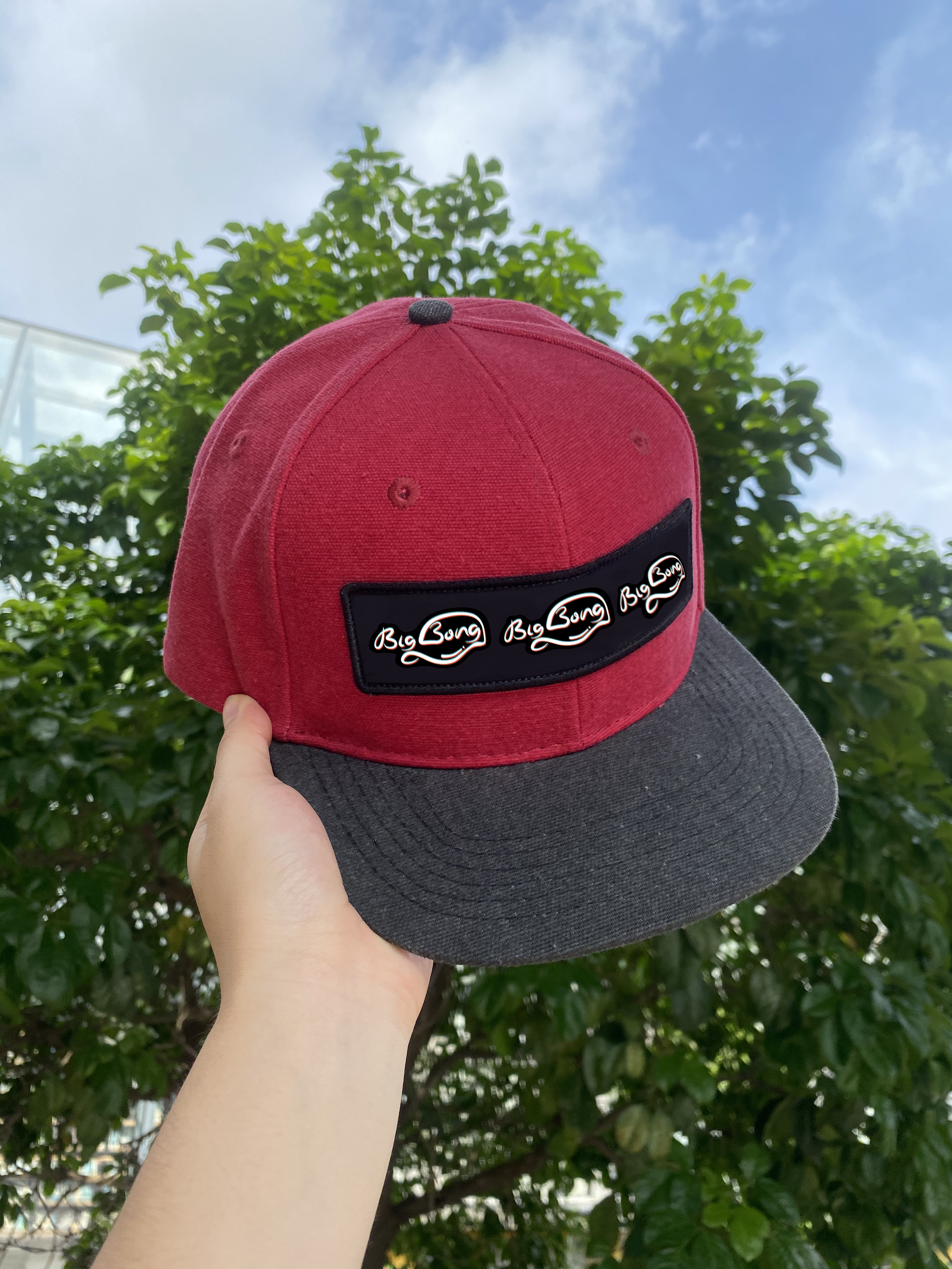 The embroidery logo Mouscap Organic cotton blank cap