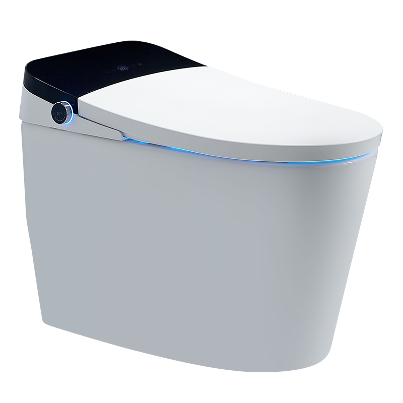 Buy high-quality smart toilets