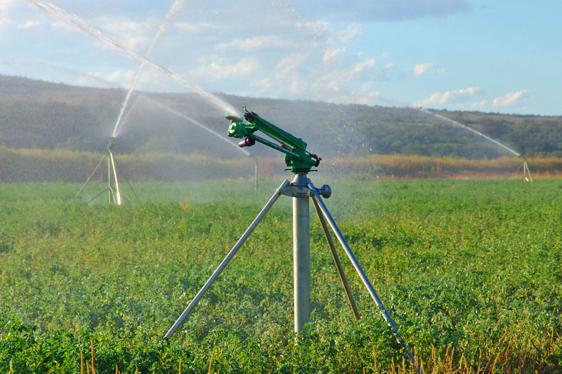Mobile Rain Gun Sprinkler Irrigation System