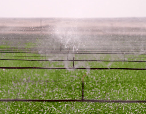 floppy sprinkler irrigation system