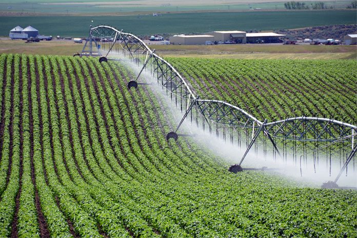 Its Time For Your Farm To Try Pivot Irrigation System