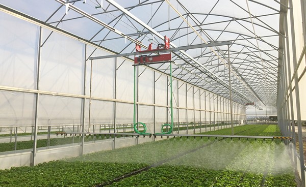 wholesale irrigation farm