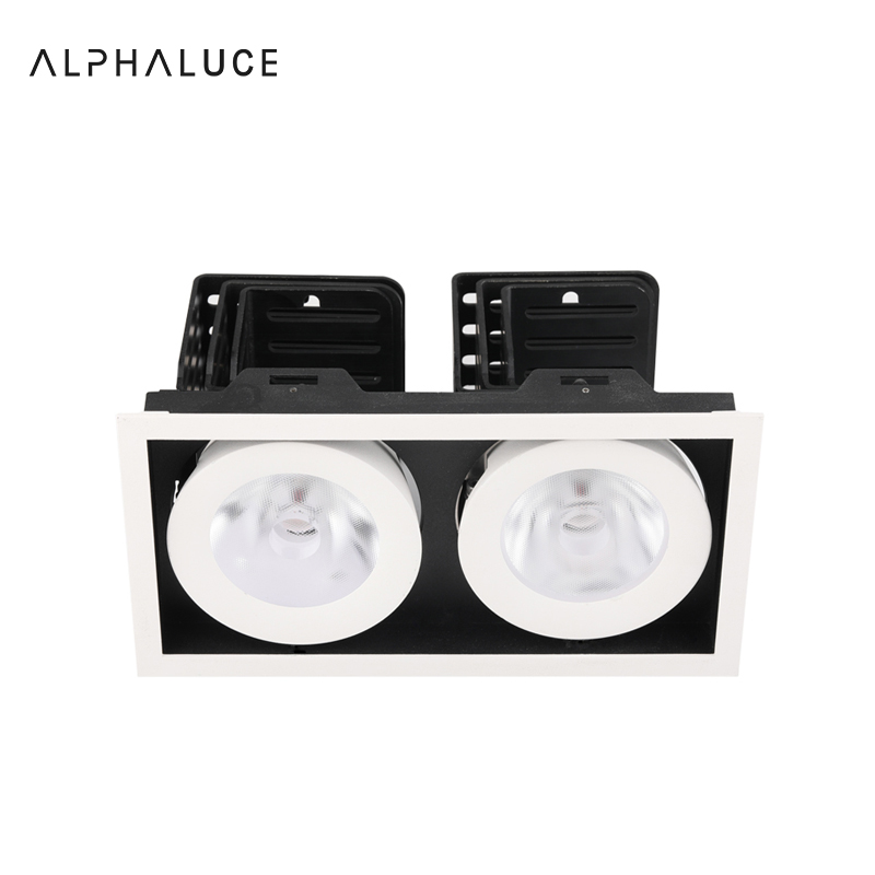 downlight double