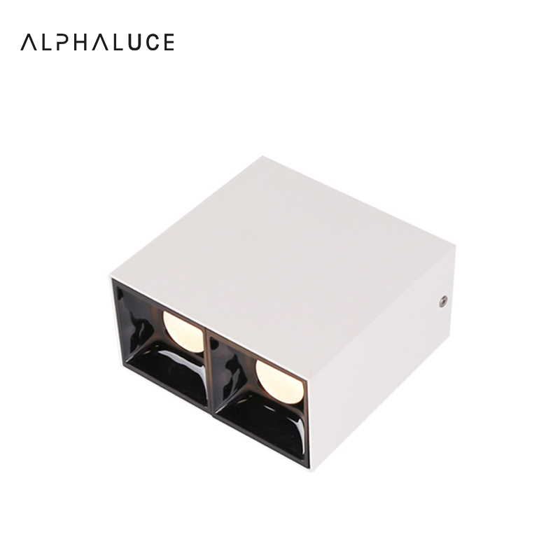 black surface mounted downlight