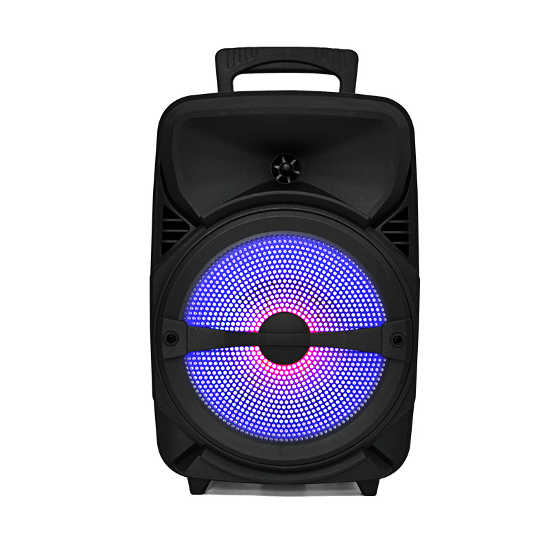 Customized Wireless Party Speaker AS-8020 For Wholesale, Custom Party  Speakers