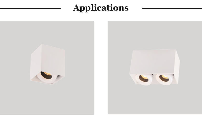 ceiling mounted downlight