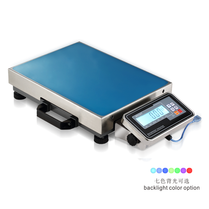 TCSECFST portable postal scalecopy