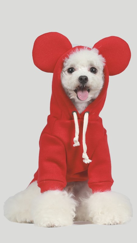 dog clothing