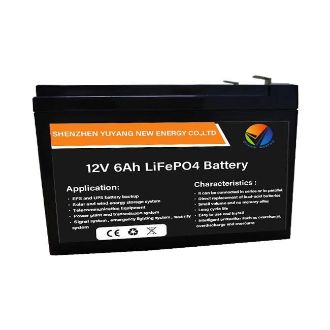 Buy LiFePO4 48V 50Ah Smart Lithium Iron Phosphate Battery