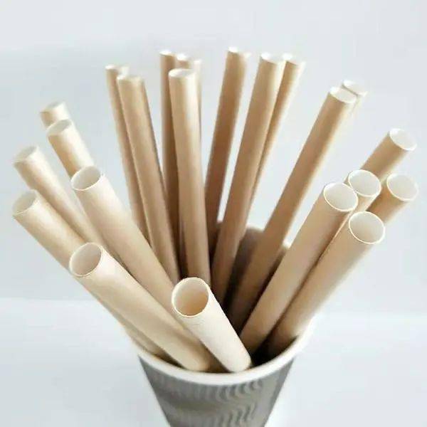 Characteristics of Paper Straw