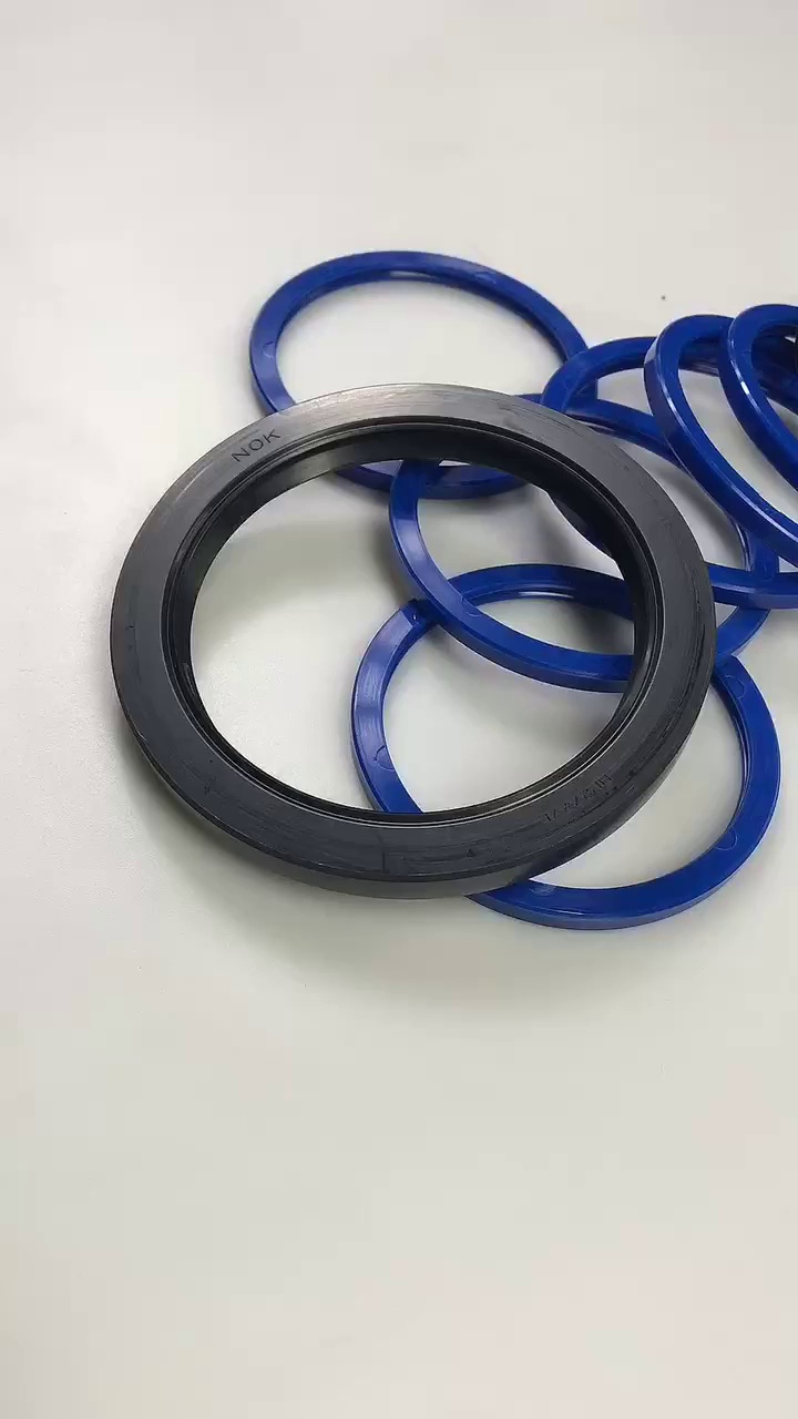 hydraulic cylinder oil seal kit