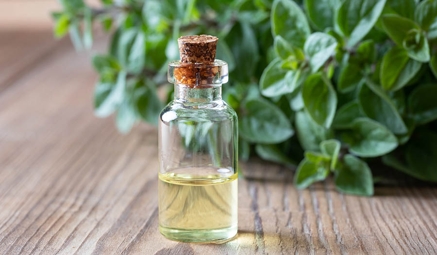 oregano oil