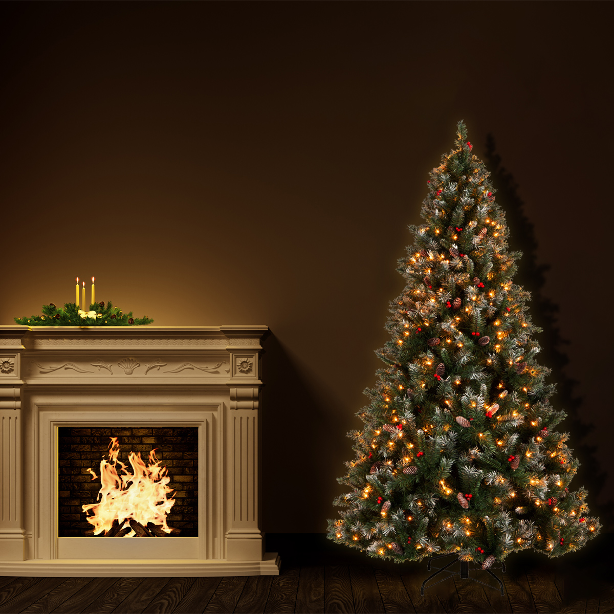 How many Kinds of Christmas Trees are There?