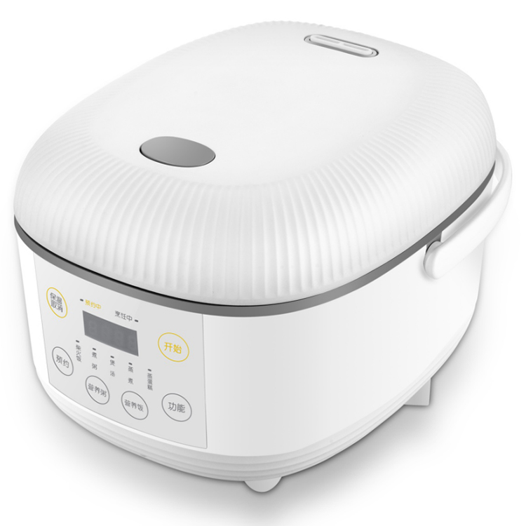 The Pros and Cons of Different Types of Rice Cookers: Which Is Right ...