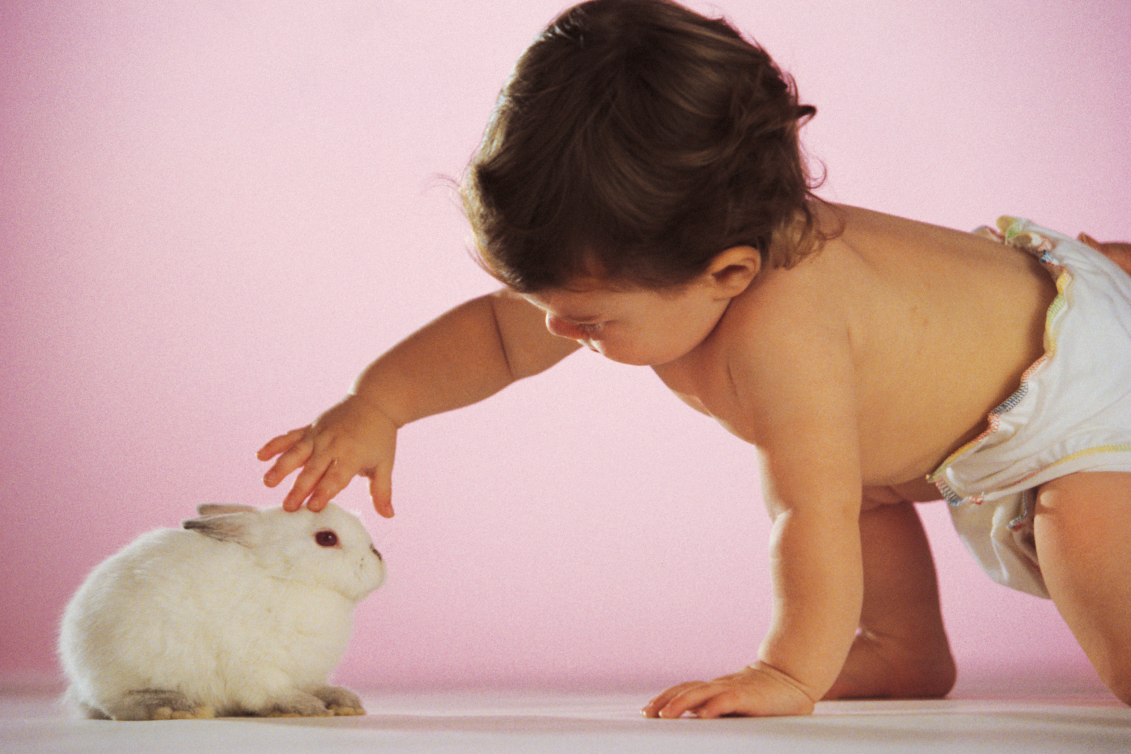 baby-reaching-to-pet-rabbit-2287047.jpg