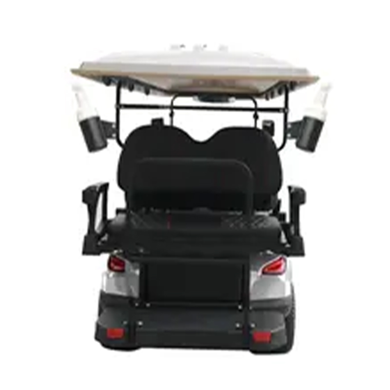 China Factory Professional Cheap Price 2+2 golf cart new model