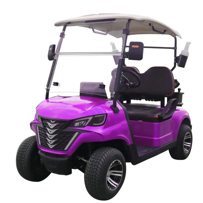 cheap  new model 2 seater golf cart LSV PTV DOT