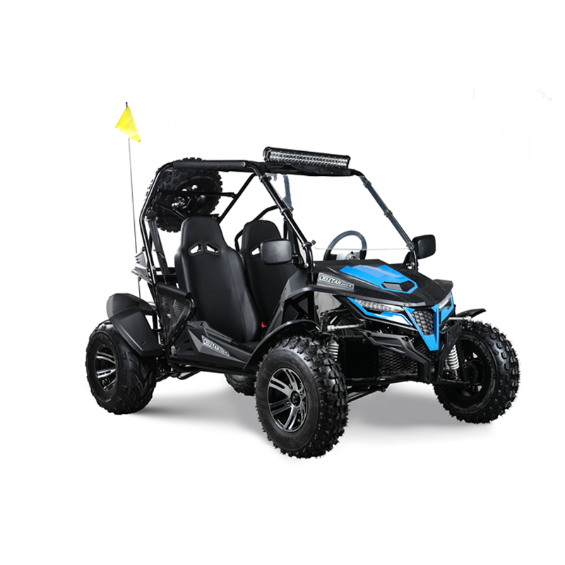 CE off road 150cc 175cc  200cc gasoline Buggy k5 plus  Go Kart  factory beach yard  new model adult upgrade Full size