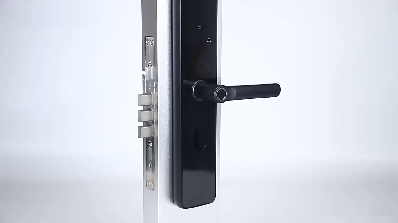 Wi -Fi -отпечаток для отпечатков пальцев Умная дверная блокировка, отпечаток отпечатков пальцев Без ключа Умная дверная замок, отпечаток пальцев с помощью смарт -блокировки, отпечатка отпечатков пальцев с умной блокировкой, отпечаток с входной дверью Smart Lock