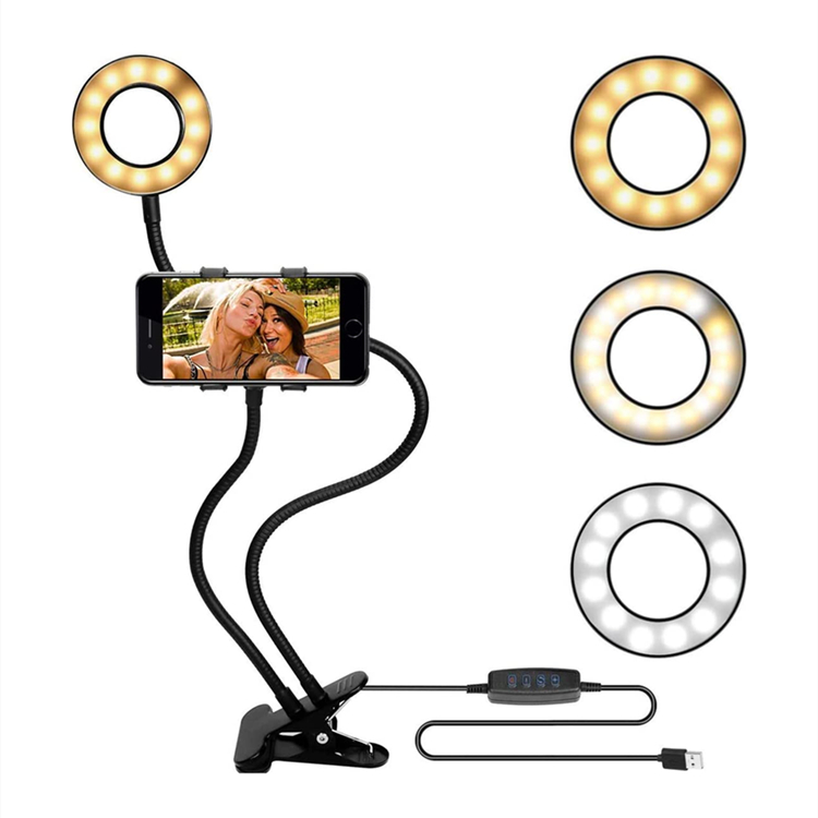 2 In 1 Led Selfie Ring Light With Phone Holder For Live Stream