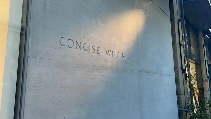 CONCISE WHITE (6).jpg